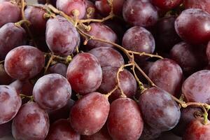 Fruits Purple grapes up close photo