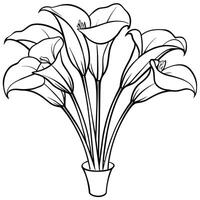 calla lirio flor ramo de flores contorno ilustración colorante libro página diseño, calla lirio flor ramo de flores negro y blanco línea Arte dibujo colorante libro paginas para niños y adultos vector