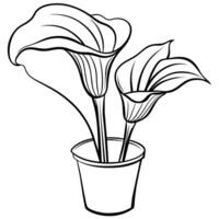 calla lirio flor en el florero contorno ilustración colorante libro página diseño, calla lirio flor en el florero negro y blanco línea Arte dibujo colorante libro paginas para niños y adultos vector