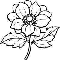 Anemone flower plant outline illustration coloring book page design, Anemone flower plant black and white line art drawing coloring book pages for children and adults vector