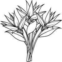 pájaro de paraíso flor ramo de flores contorno ilustración colorante libro página diseño, pájaro de paraíso flor ramo de flores negro y blanco línea Arte dibujo colorante libro paginas para niños y adultos vector