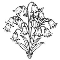 Bluebell Flower Bouquet outline illustration coloring book page design, Bluebell Flower Bouquet black and white line art drawing coloring book pages for children and adults vector