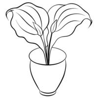 calla lirio flor en el florero contorno ilustración colorante libro página diseño, calla lirio flor en el florero negro y blanco línea Arte dibujo colorante libro paginas para niños y adultos vector