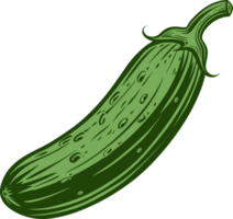 Cucumber clipart design illustration png