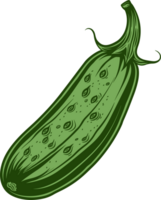 Cucumber clipart design illustration png