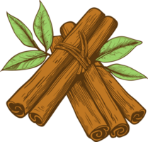 Cinnamon clipart design illustration png