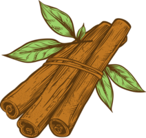 Cinnamon clipart design illustration png