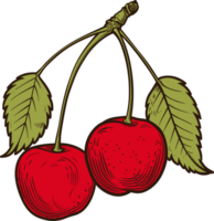 Cherry clipart design illustration png