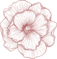 désert Rose clipart conception illustration png