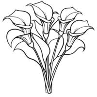 calla lirio flor ramo de flores contorno ilustración colorante libro página diseño, calla lirio flor ramo de flores negro y blanco línea Arte dibujo colorante libro paginas para niños y adultos vector