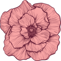 Wüste Rose Clip Art Design Illustration png