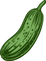 Cucumber clipart design illustration png