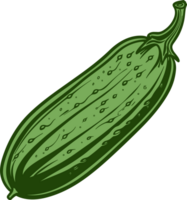 Pepino clipart diseño ilustración png