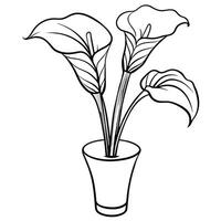 Calla Lily flower on the vase outline illustration coloring book page design, Calla Lily flower on the vase black and white line art drawing coloring book pages for children and adults vector
