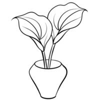 Calla Lily flower on the vase outline illustration coloring book page design, Calla Lily flower on the vase black and white line art drawing coloring book pages for children and adults vector