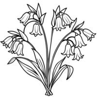 Bluebell Flower Bouquet outline illustration coloring book page design, Bluebell Flower Bouquet black and white line art drawing coloring book pages for children and adults vector