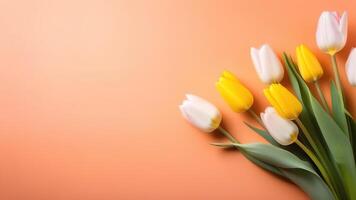 light coral peach color tulips flowers bouquet spring floral banner space for text copyspace photo