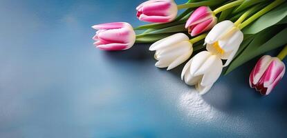 pink and white color tulips flowers bouquet spring floral banner space for text copyspace on grey blue background photo