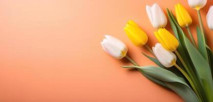 light coral peach color tulips flowers bouquet spring floral banner space for text copyspace photo