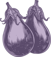 Eggplant clipart design illustration png