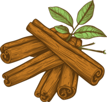 Cinnamon clipart design illustration png