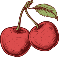 Cereza clipart diseño ilustración png