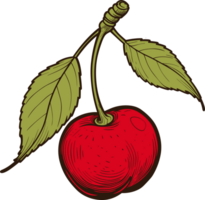 Cherry clipart design illustration png