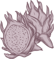 Dragon fruit clipart design illustration png