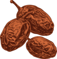 Dried dates clipart design illustration png