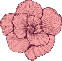 désert Rose clipart conception illustration png