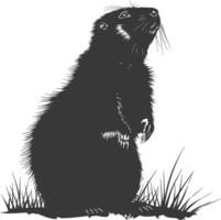 silueta marmota animal negro color solamente lleno cuerpo vector