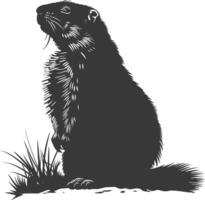 Silhouette marmot animal black color only full body vector