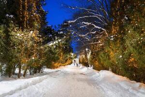 invierno parque a noche con Navidad decoraciones, luces, pavimento cubierto con nieve y arboles foto