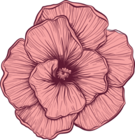 désert Rose clipart conception illustration png