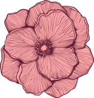 woestijn roos clip art ontwerp illustratie png