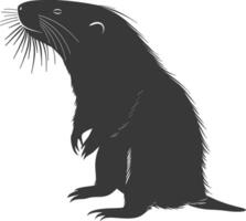Silhouette mole animal black color only full body vector