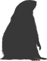 Silhouette mole animal black color only full body vector