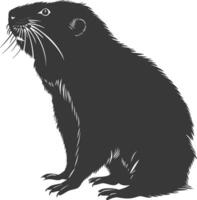 Silhouette mole animal black color only full body vector