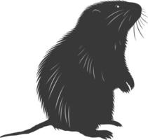 Silhouette mole animal black color only full body vector