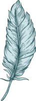 Feather clipart design illustration png