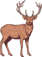 Deer clipart design illustration png