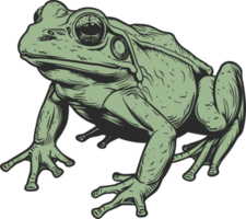 Frosch Clip Art Design Illustration png