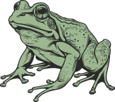 Frog clipart design illustration png