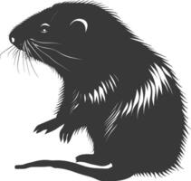 Silhouette mole animal black color only full body vector