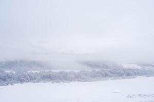 Frozen river in fog with trees covered in snow on a winter day. photo