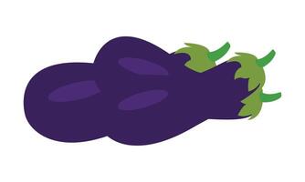 Brinjal Design And Illustration. vector