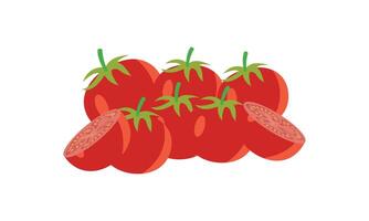 Tomato Design And Illustration. vector