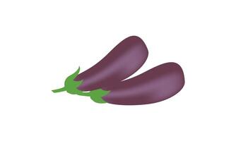 Brinjal Design And Illustration. vector