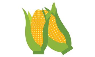 Corn Design And Illustration. vector