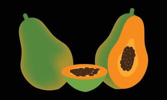 Papaya Design And Illustration. vector